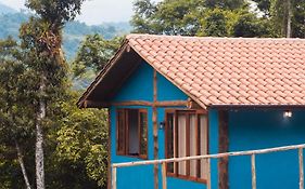 Ecocasa azul - Chalé na mata